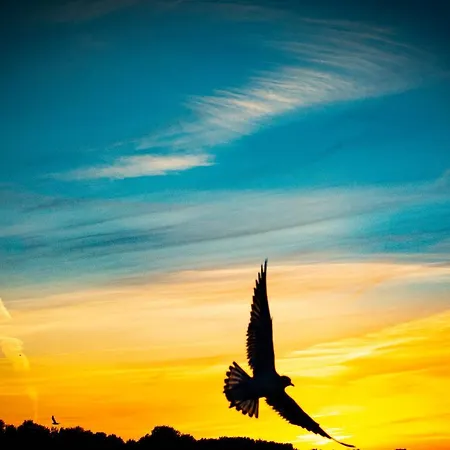 Affittacamere Pastelowy Świnoujście