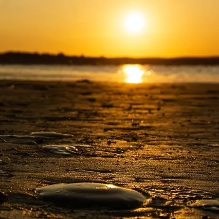 Pastelowy ゲストハウス シフィノウイシチェ