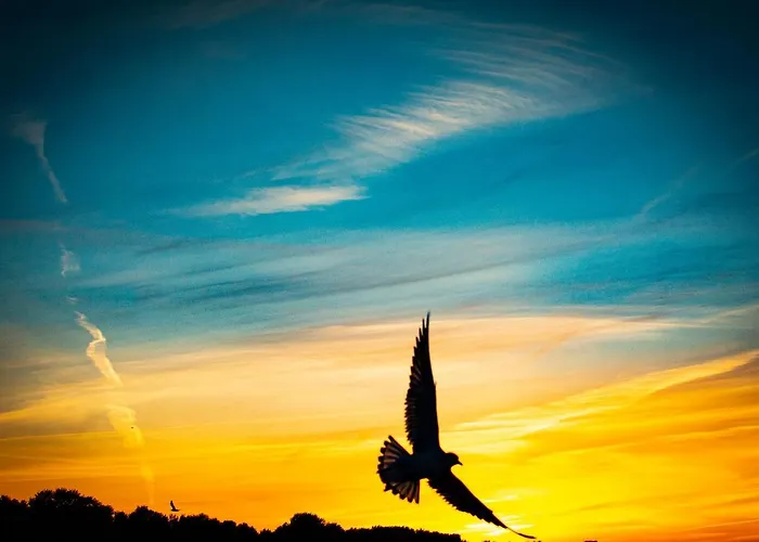 Penzion Pastelowy Svinoústí